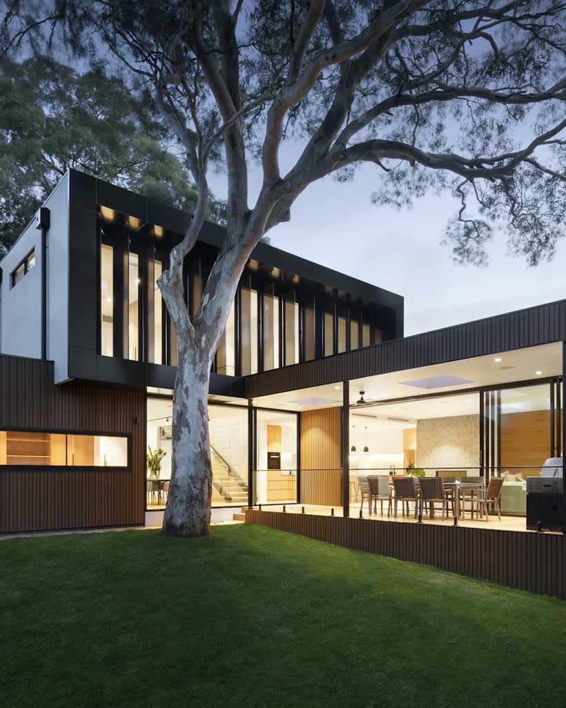A modern Denver home at dusk, framed by an old-growth tree